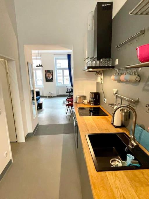 Klimatisierte Sehr Zentrale Wohnung-Loftstyle- فيينا المظهر الخارجي الصورة